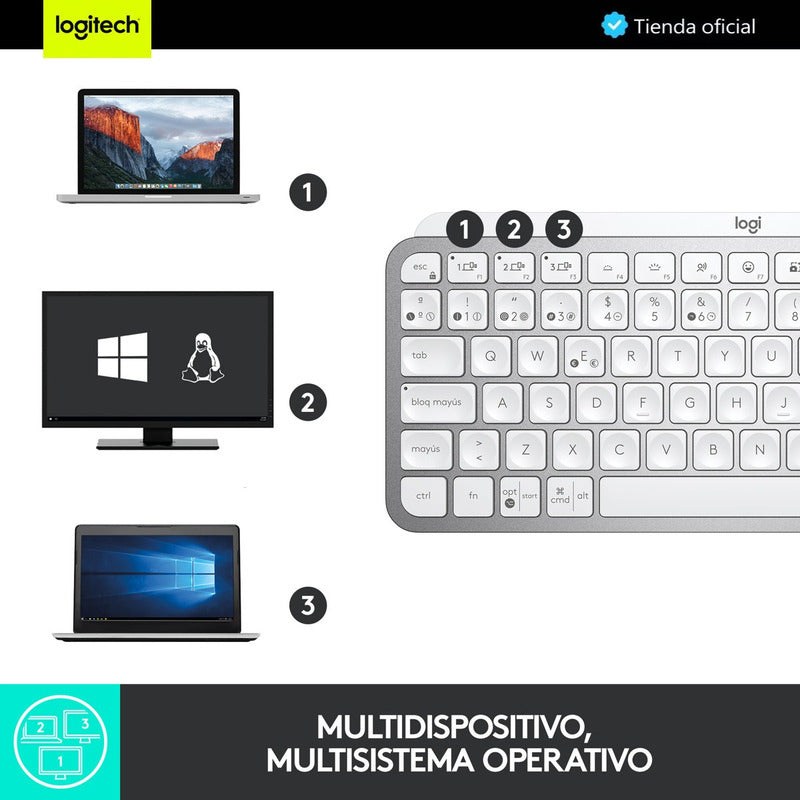 Combo Logitech Avanzado Teclado Mx Keys Mini + Master 3s Wh